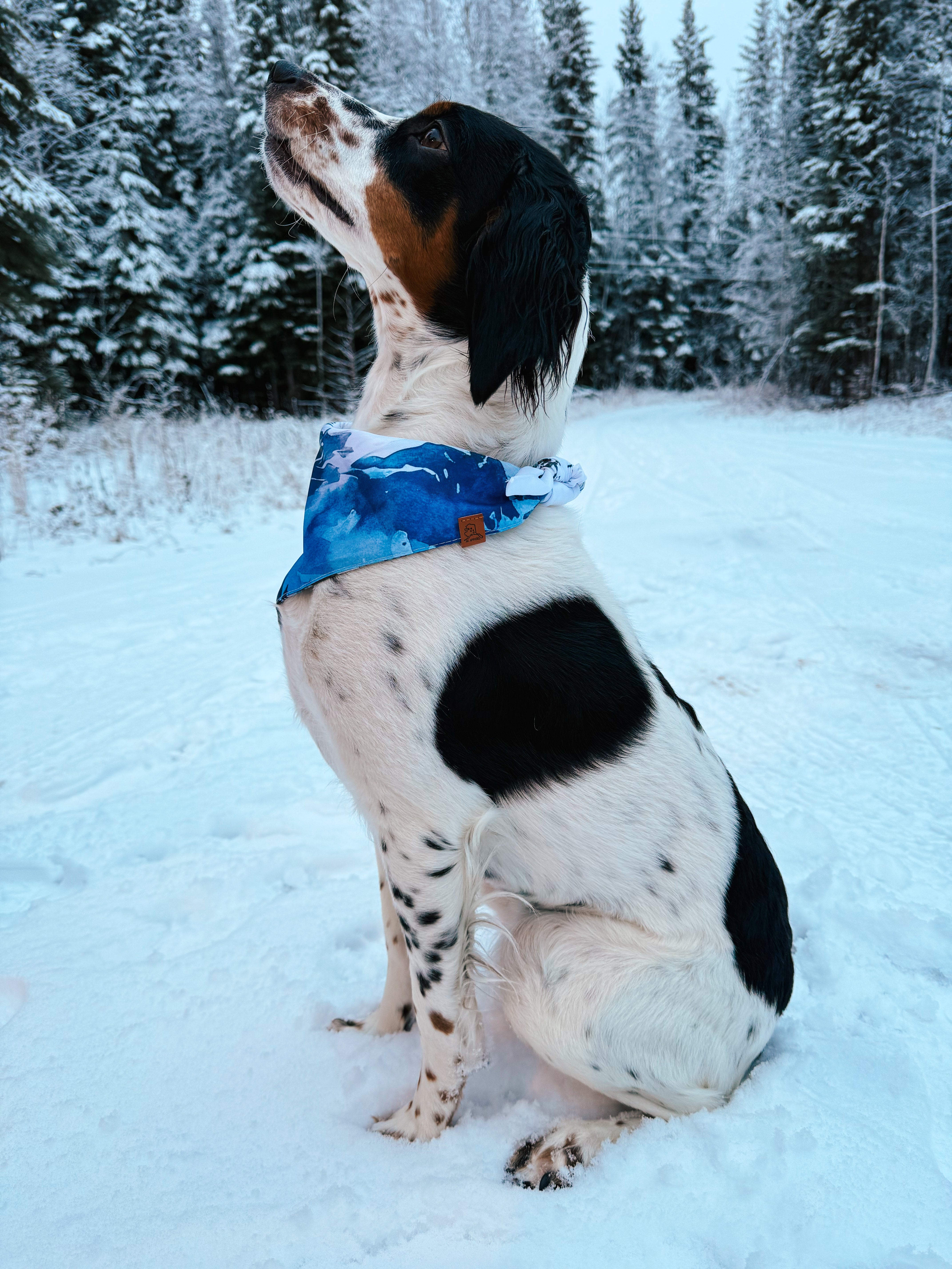 Wild Tails Collection