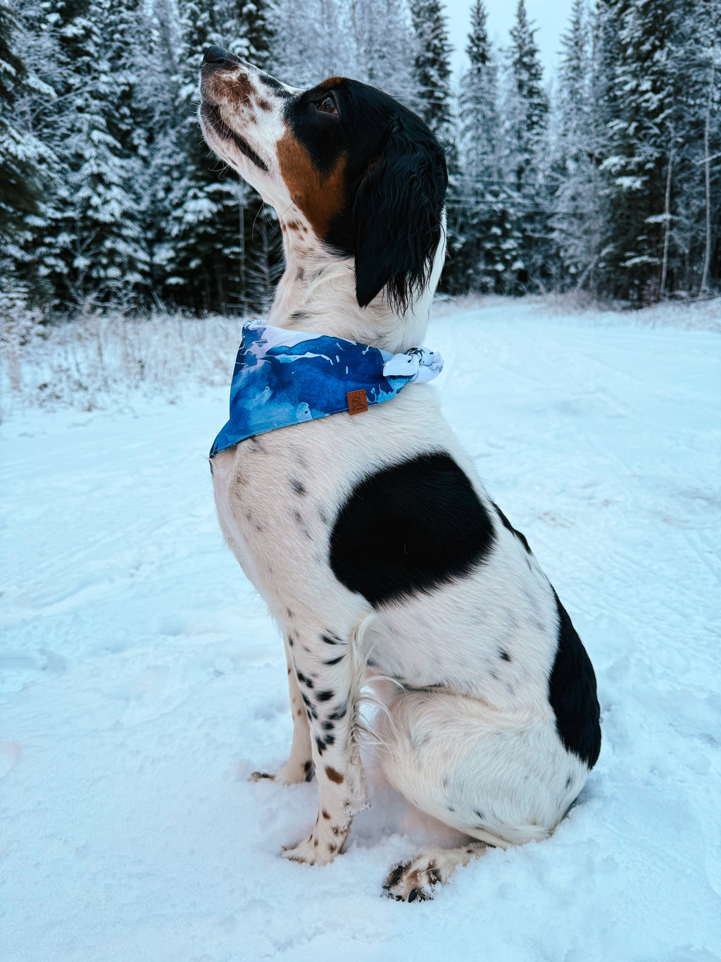 Wild Tails Collection