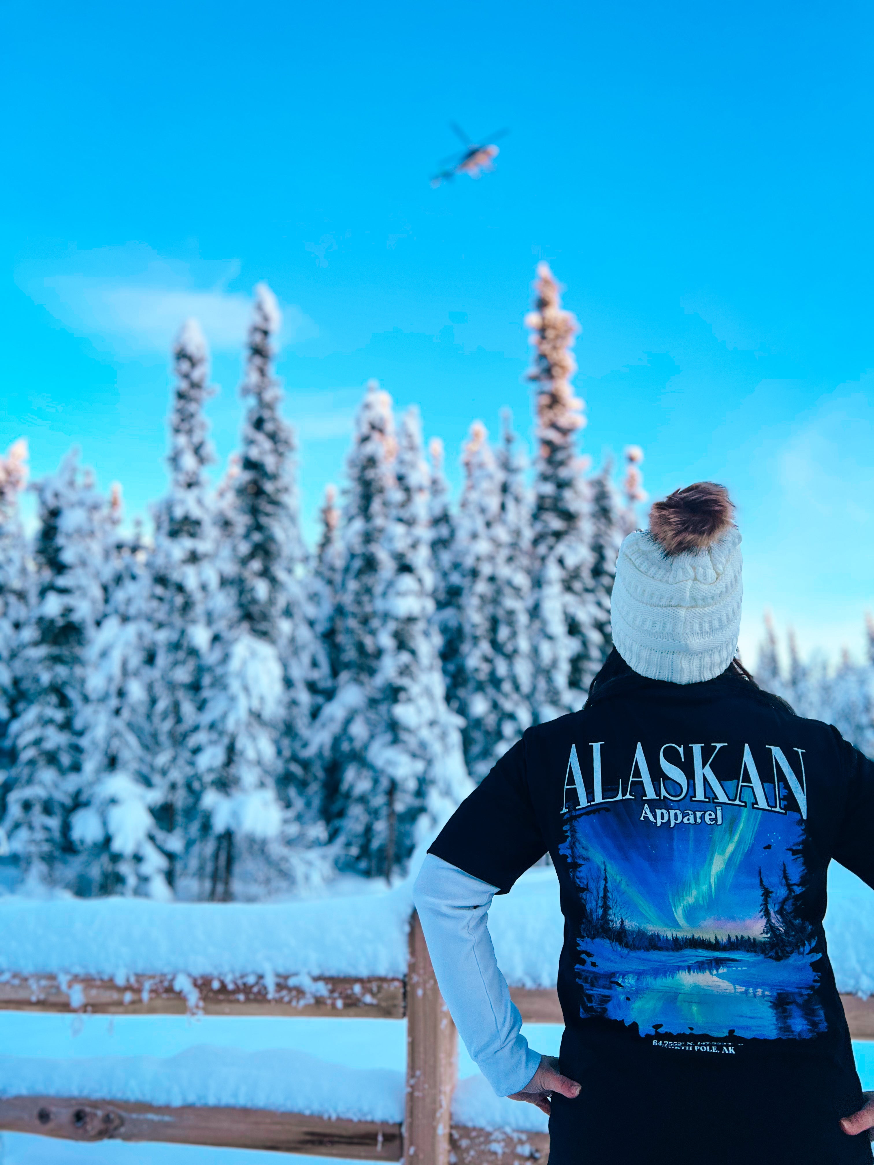 Arctic Aurora