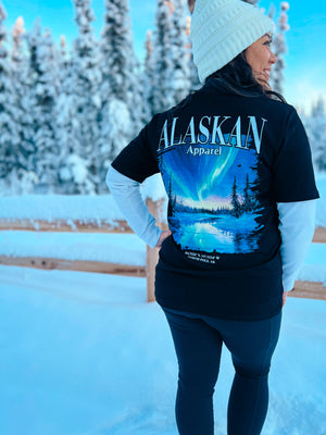 Arctic Aurora