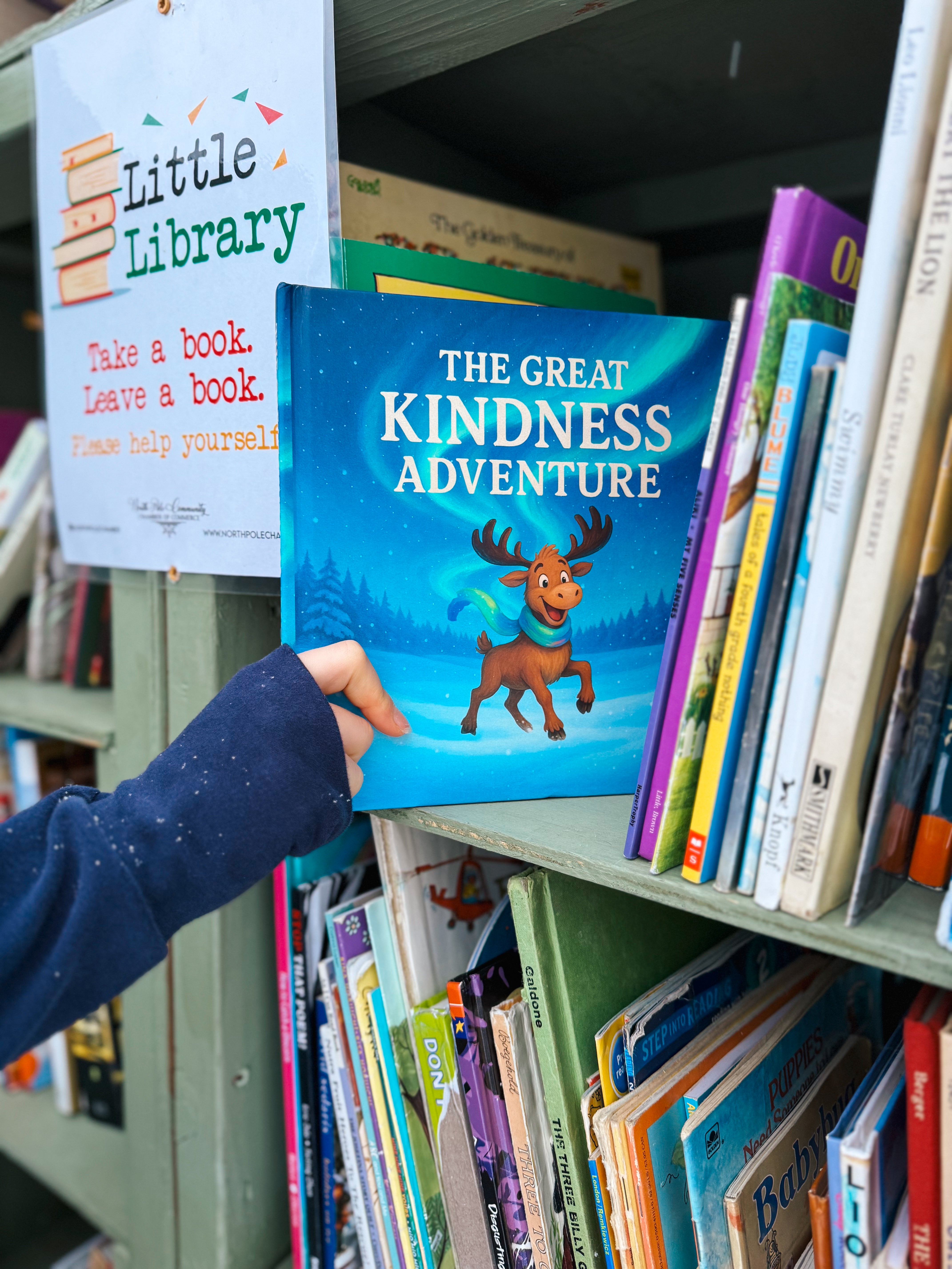 The Great Kindness Adventure