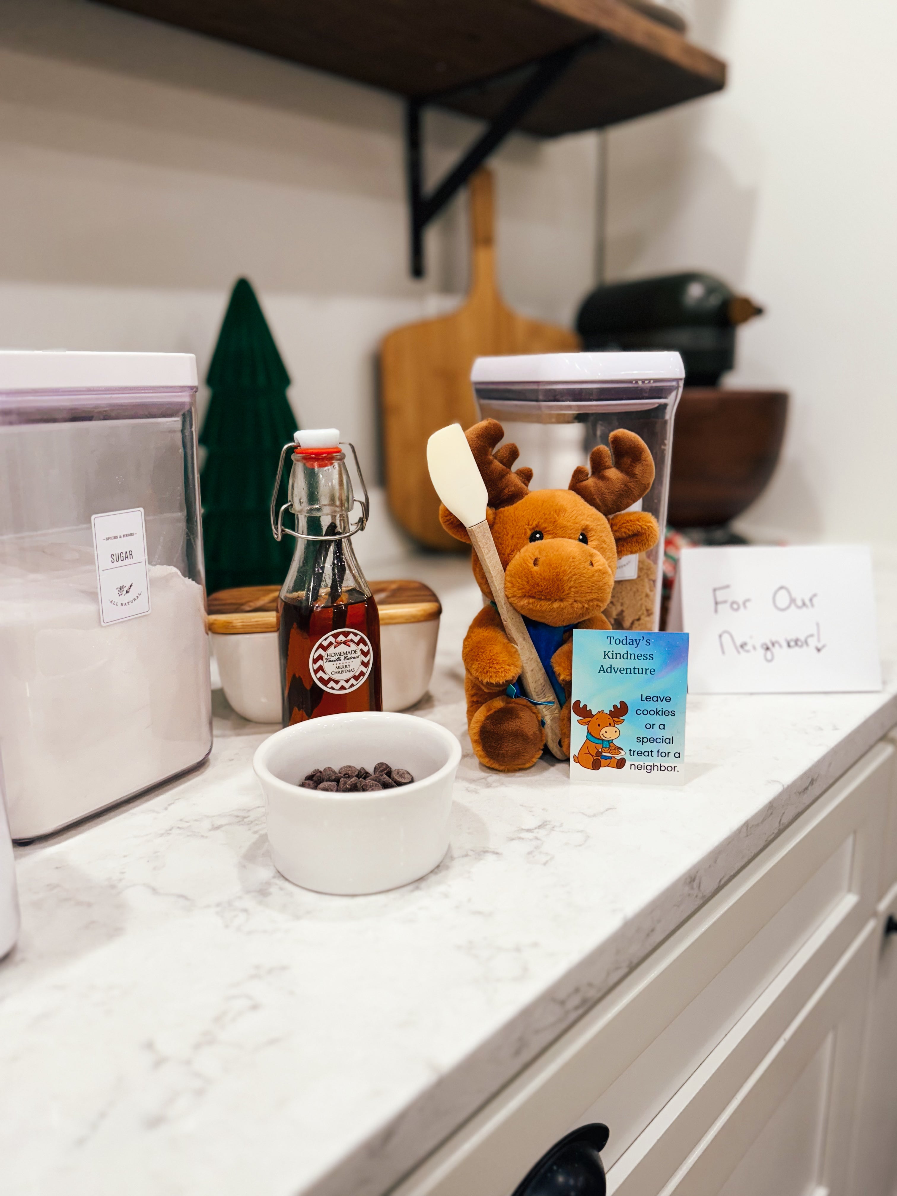 The Great Kindness Adventure