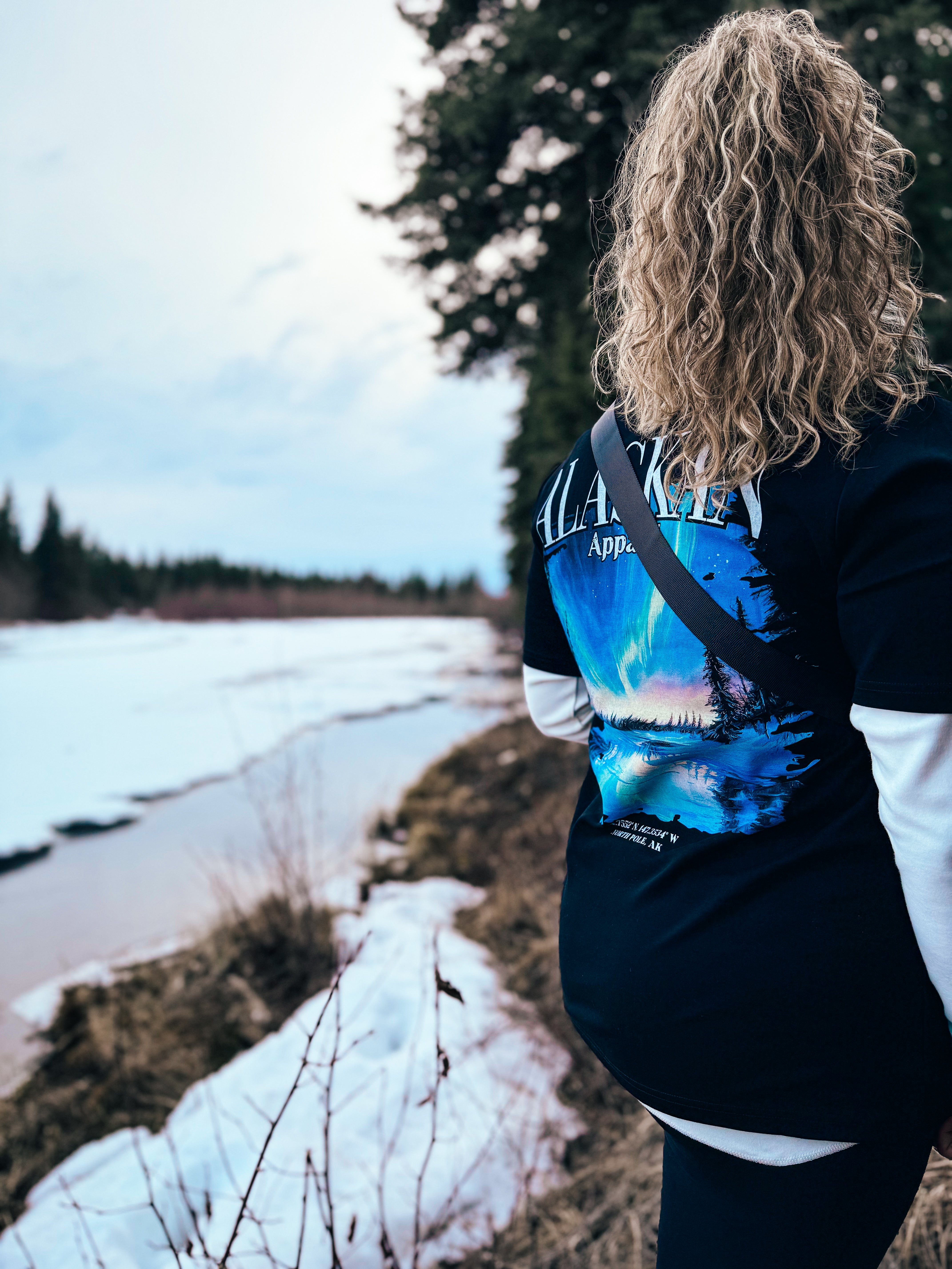Arctic Aurora